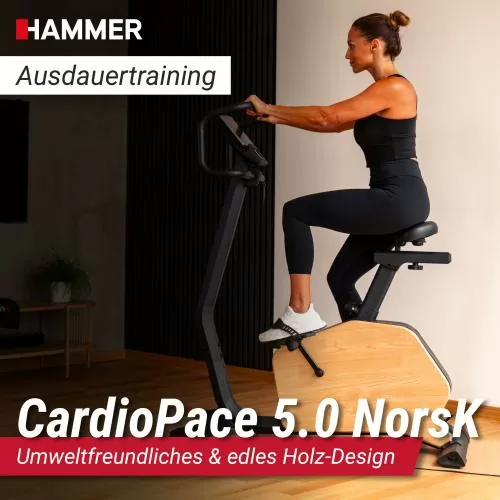 Hammer CardioPace 5.0 NorsK Ergometer - braun